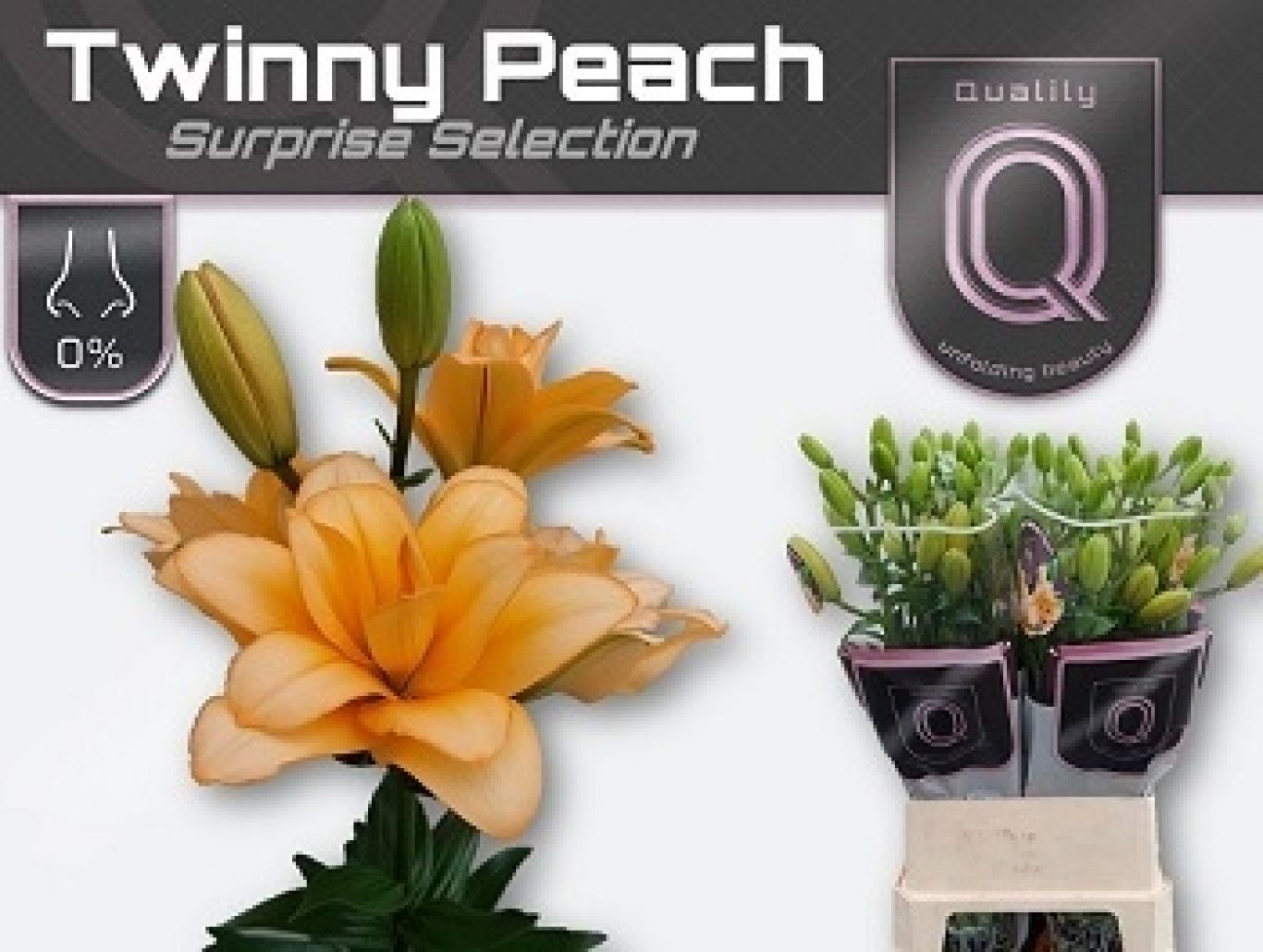 S1a Li La Twinny Peach 350x260