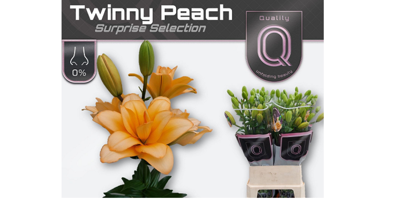 S1a Li La Twinny Peach klein
