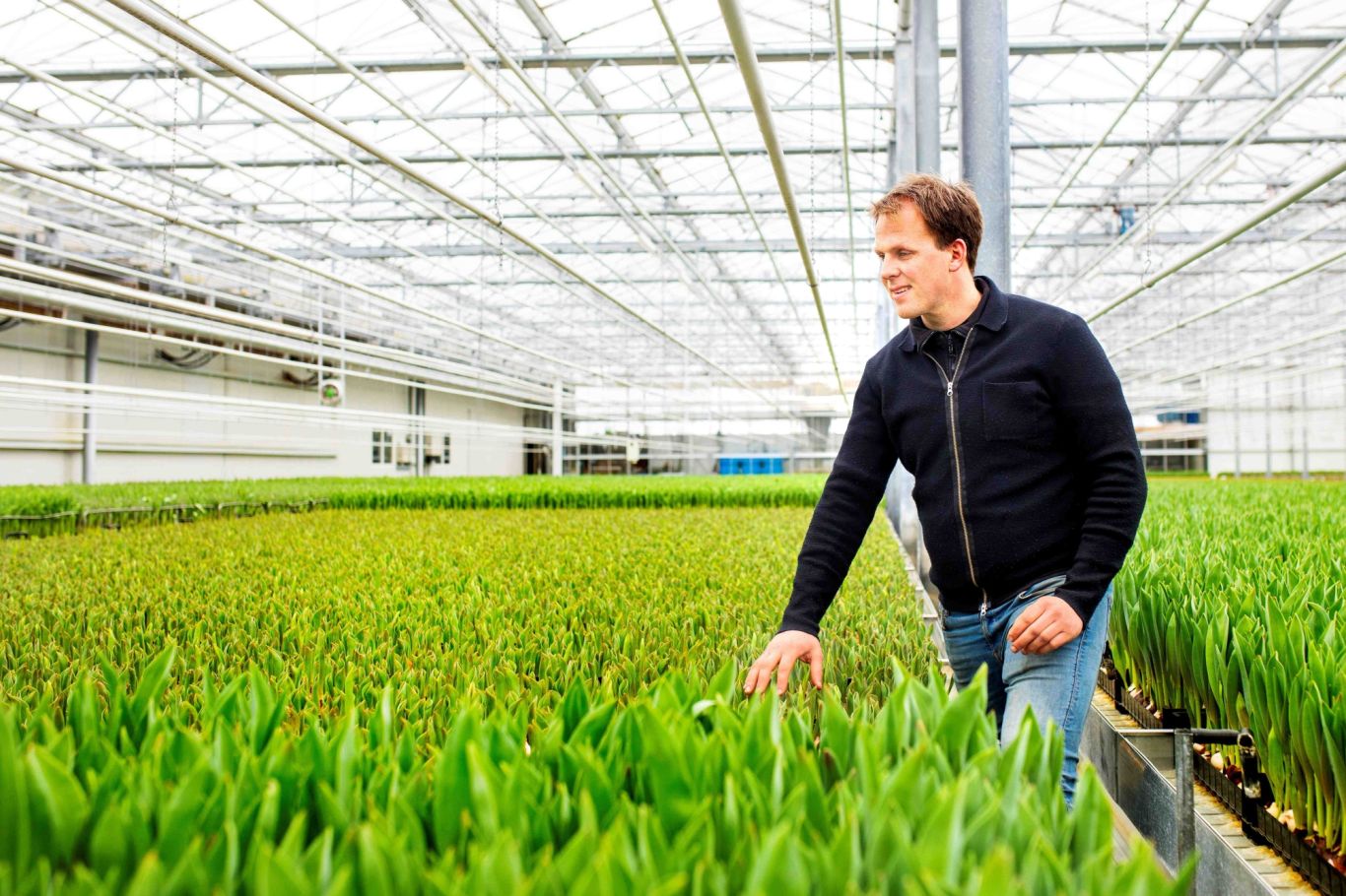 Smal Bloembollen 2 Bloemenliefde