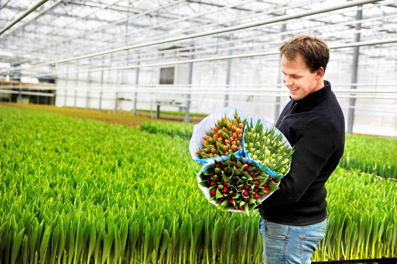 Smal Bloembollen Bloemenliefde