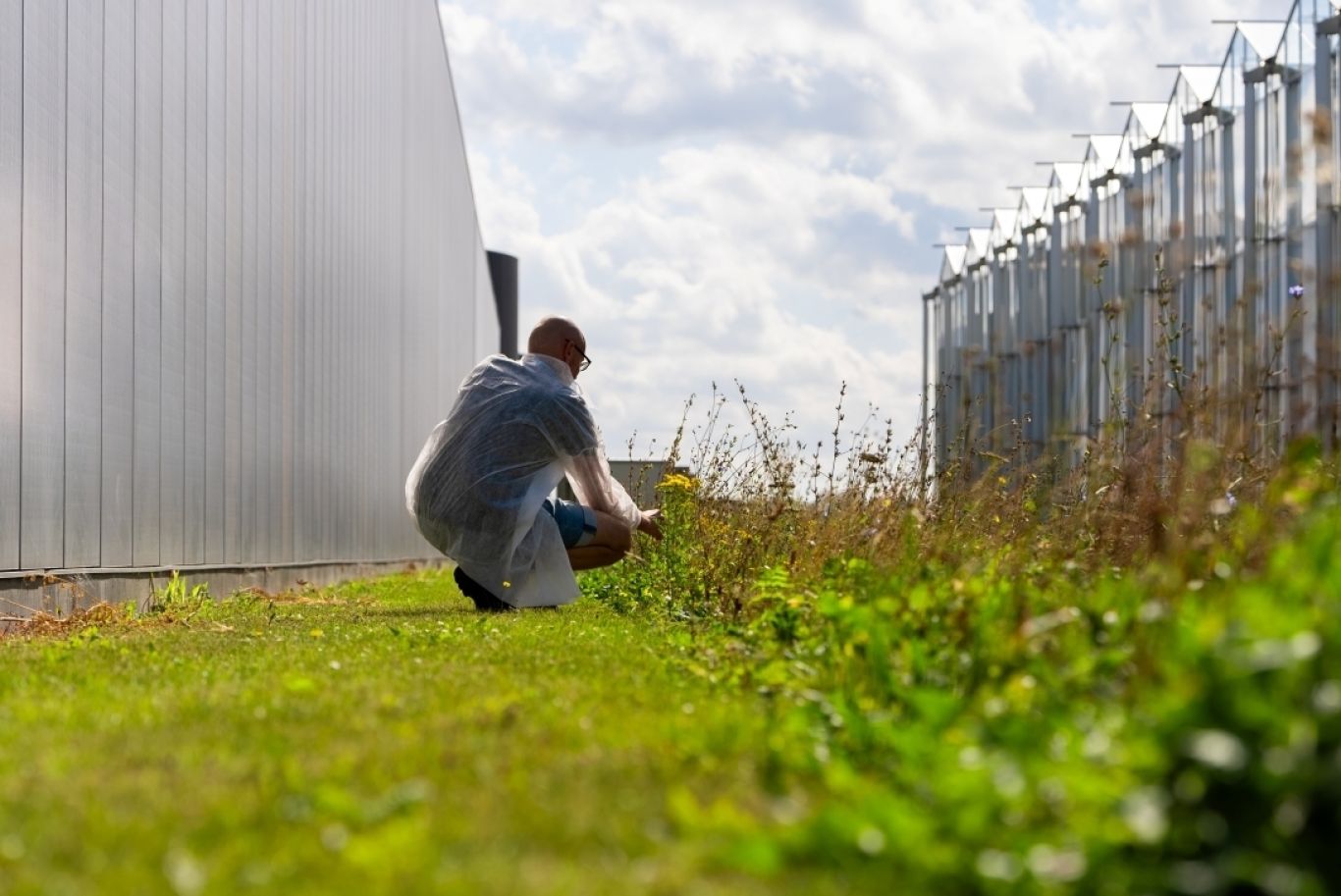 Ter Laak Impactmakers