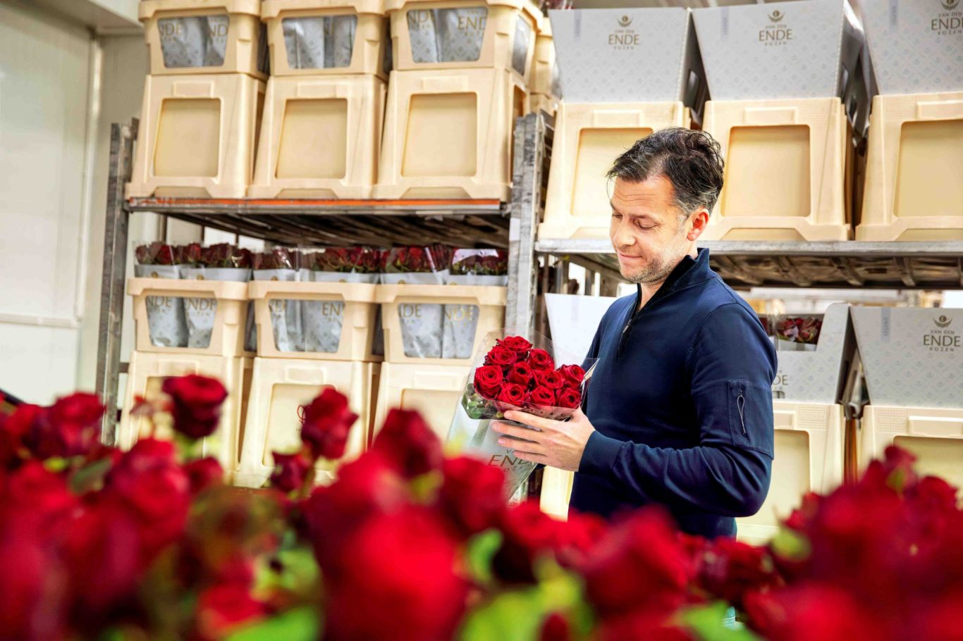 Van den Ende rozen Bloemenliefde