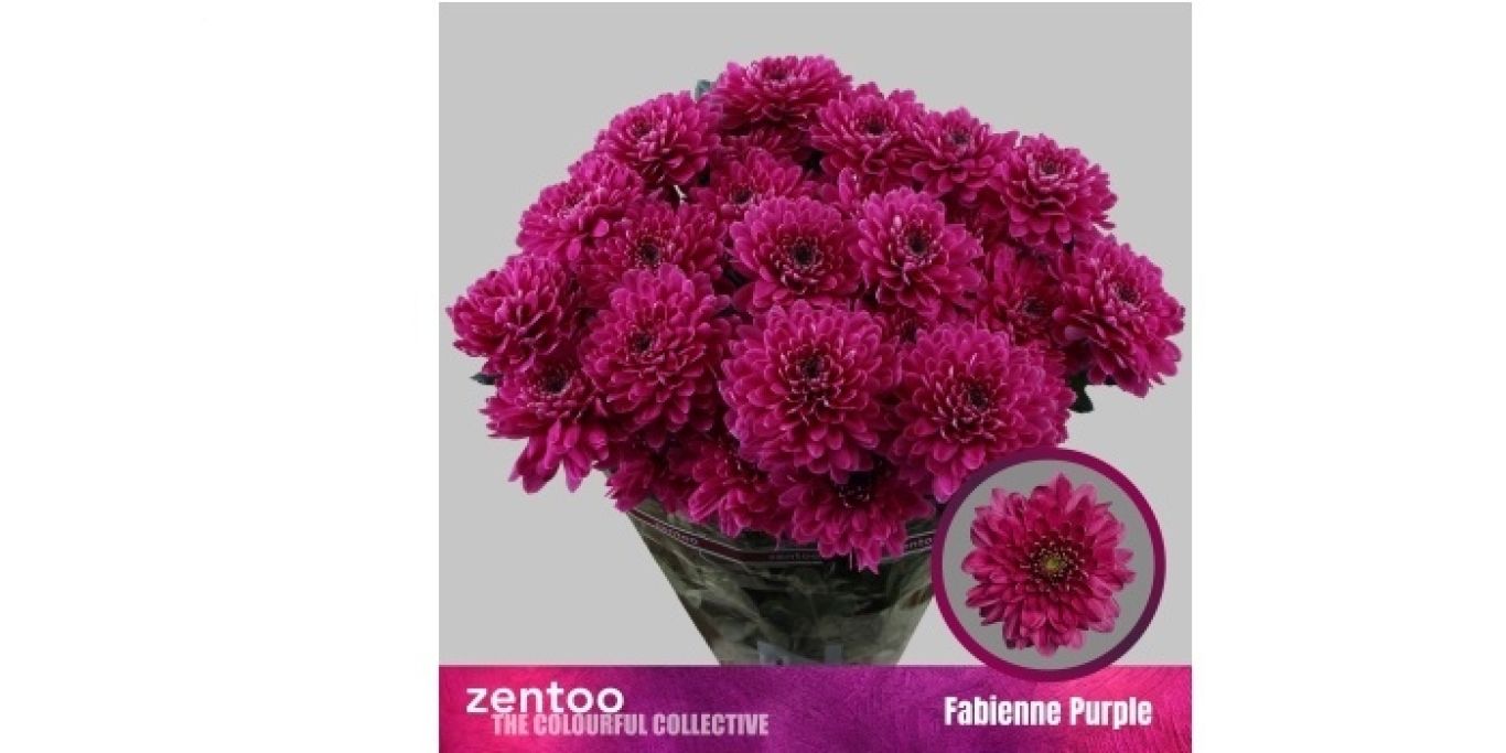 Website Fabienne