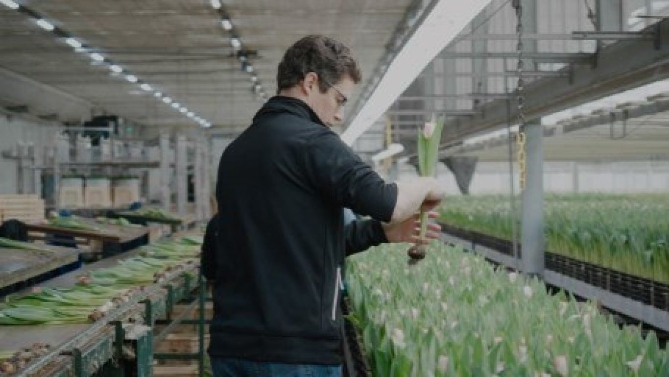 Borst tulpen waterdrinker edit v700 00 31 07still003