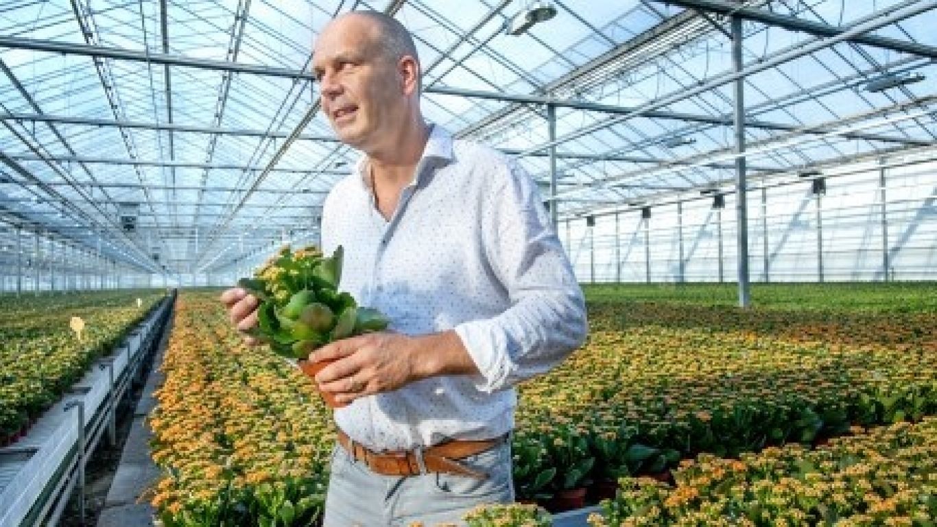 Grow 3 2020 pag 26 27 andre lankhaar duurzame sierteelt 03