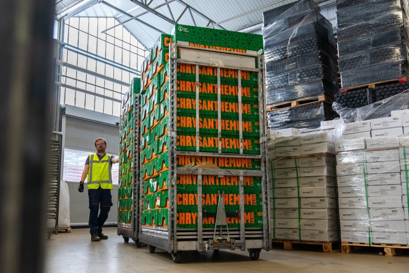 Preview 2410 WCM RFH DSC01179