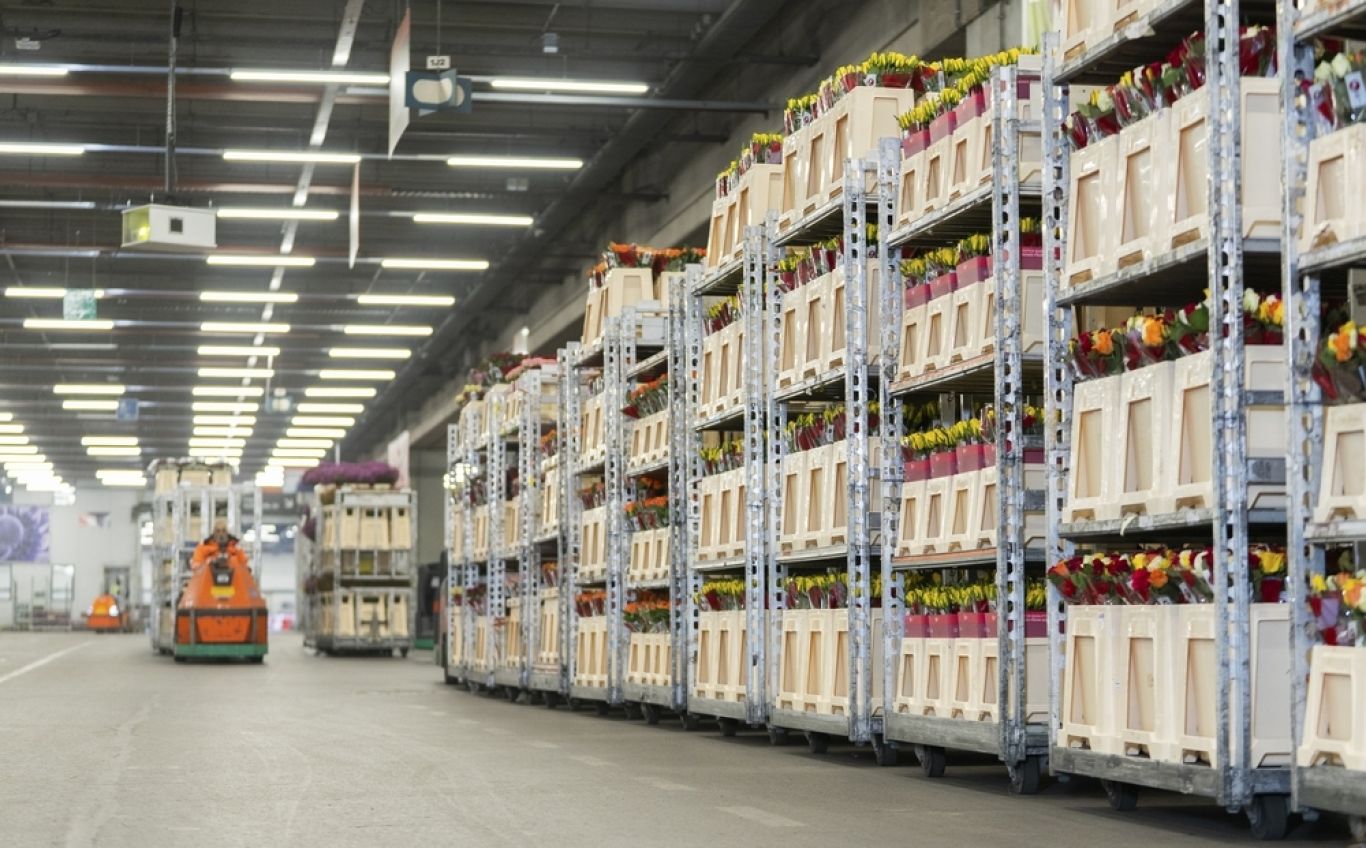 Preview 2602 WCM RFH DSC02300