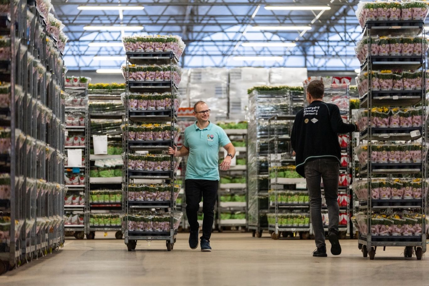 Preview Kweker stelt CC met planten op bij Kwekerij SVCO