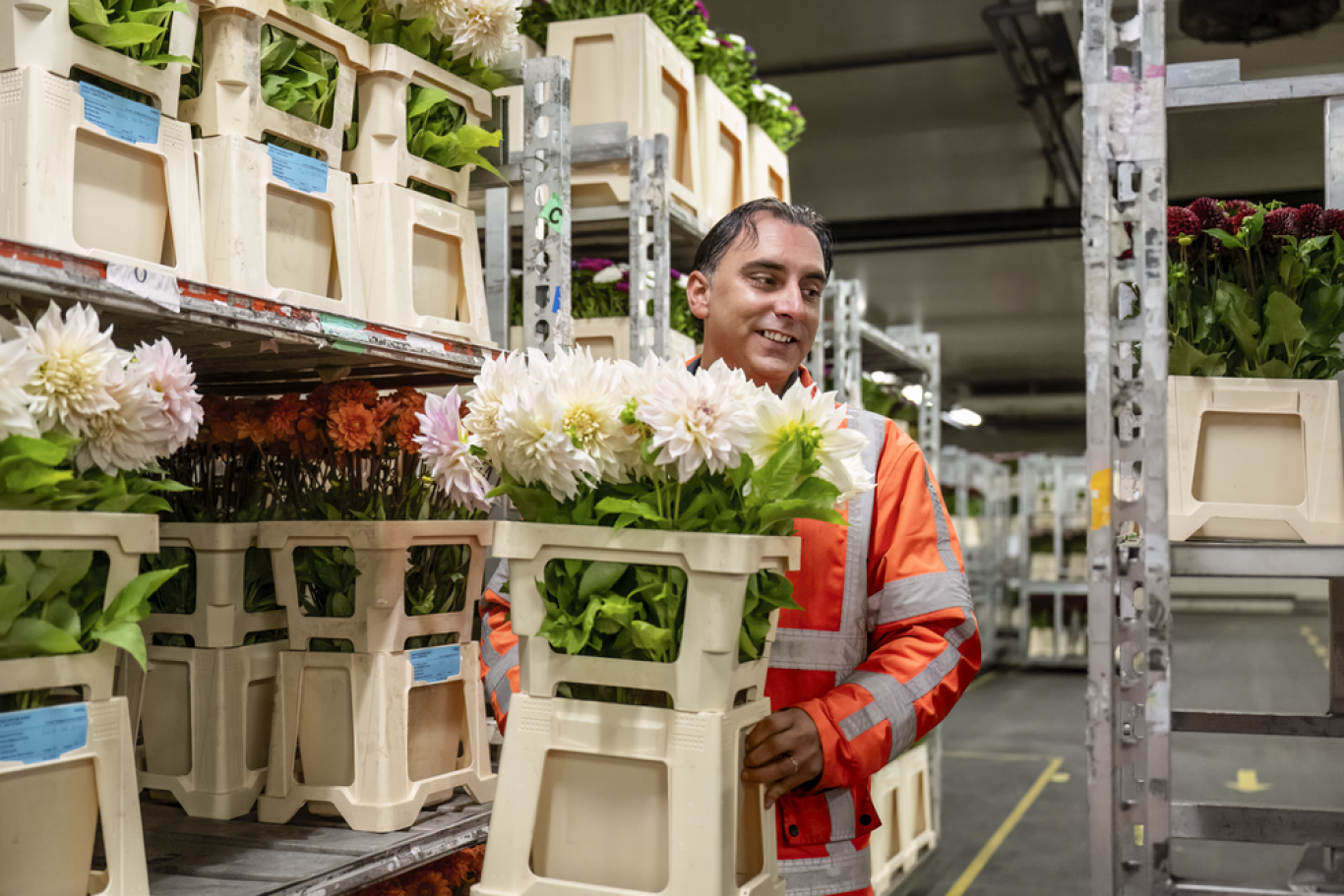 Preview Logistiek medewerker orderpicken bloemen logistiek proces
