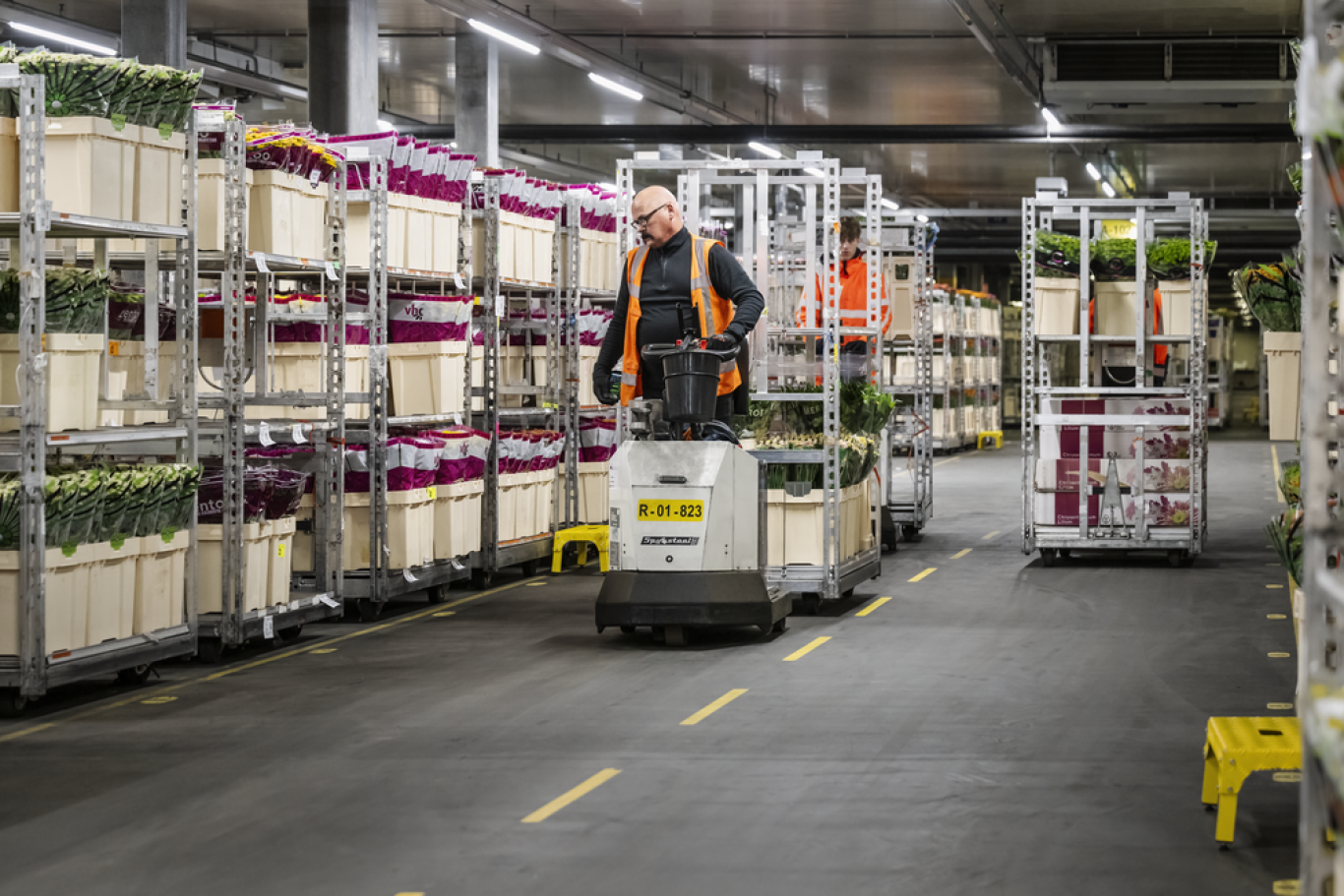 Preview Logistiek medewerker orderpicken logistiek proces