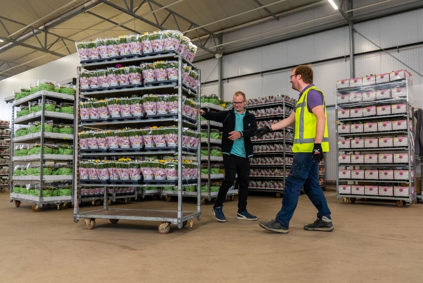 Preview Transporteur ontvangt CC met planten op kwekerij SVCO