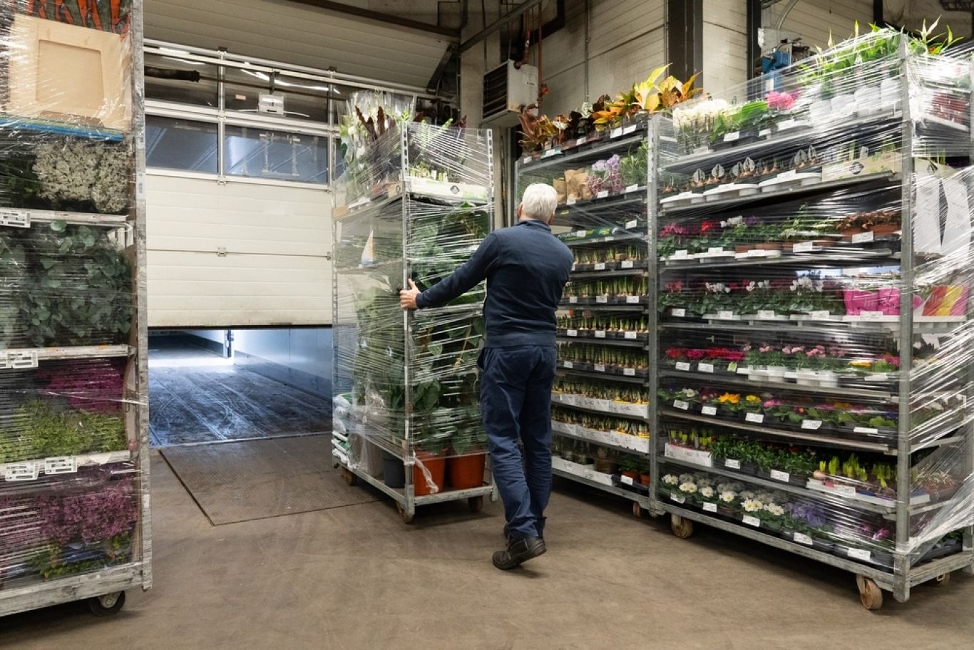 Preview WCM RFH DSC05417