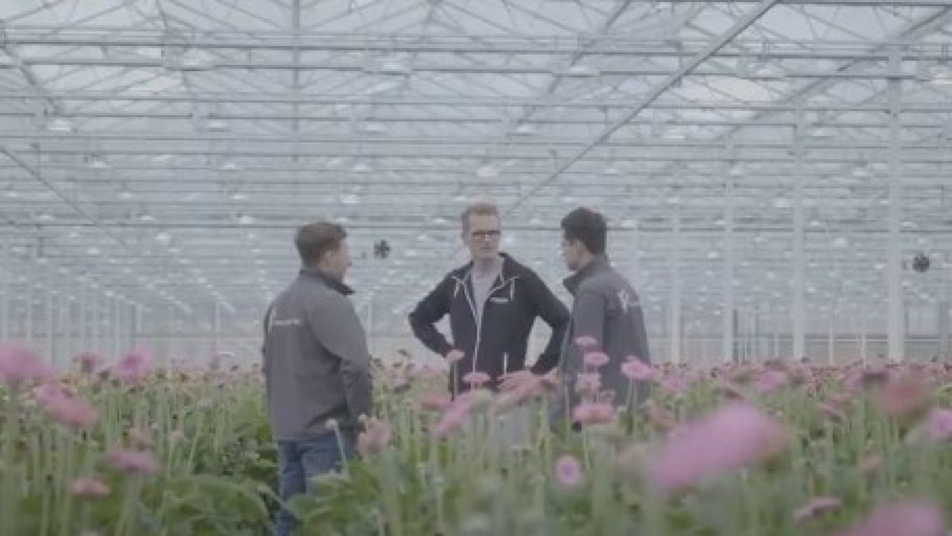 Royal floraholland 100 digitaal hilverda de boer