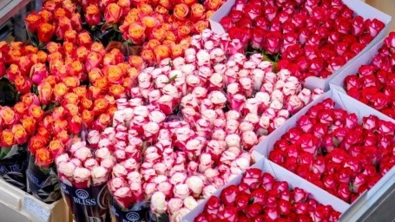 Royal floraholland aanbod markeren app