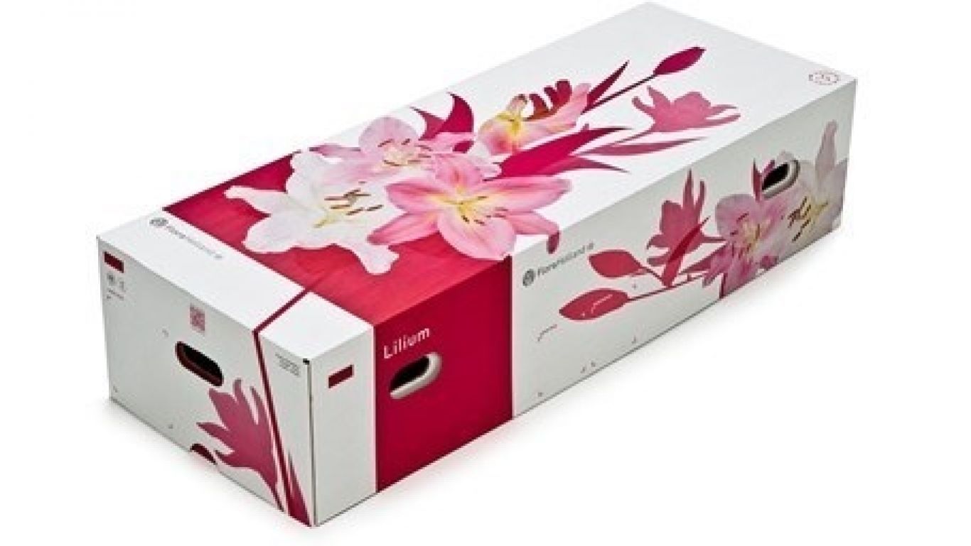Royal floraholland bloemendoos fc527 455x256