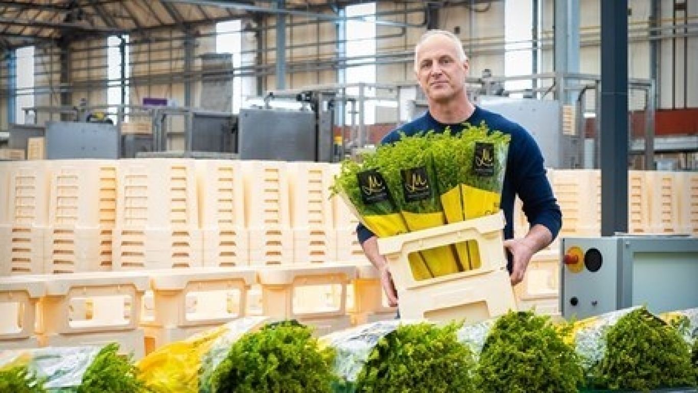 Royal floraholland bloemenemmer fc588 2 455x256