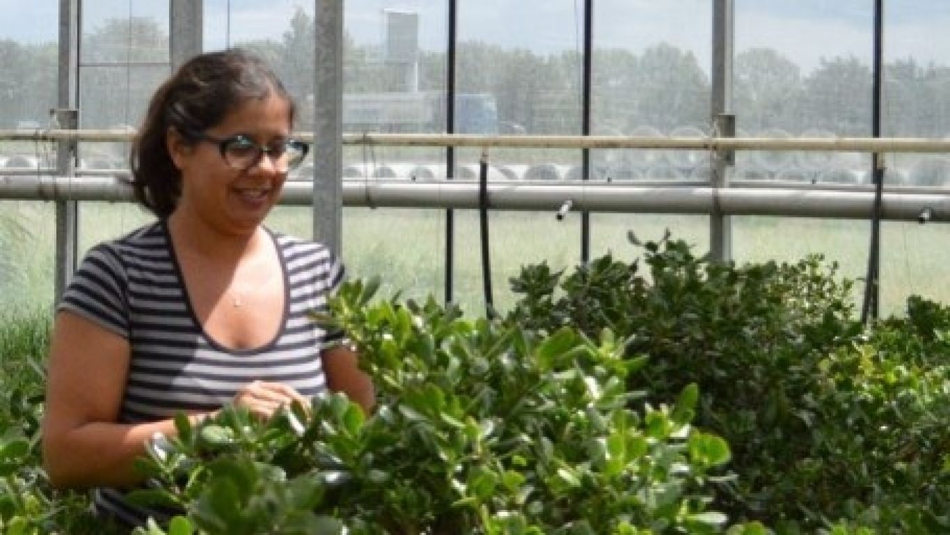 Royal floraholland eva van etten