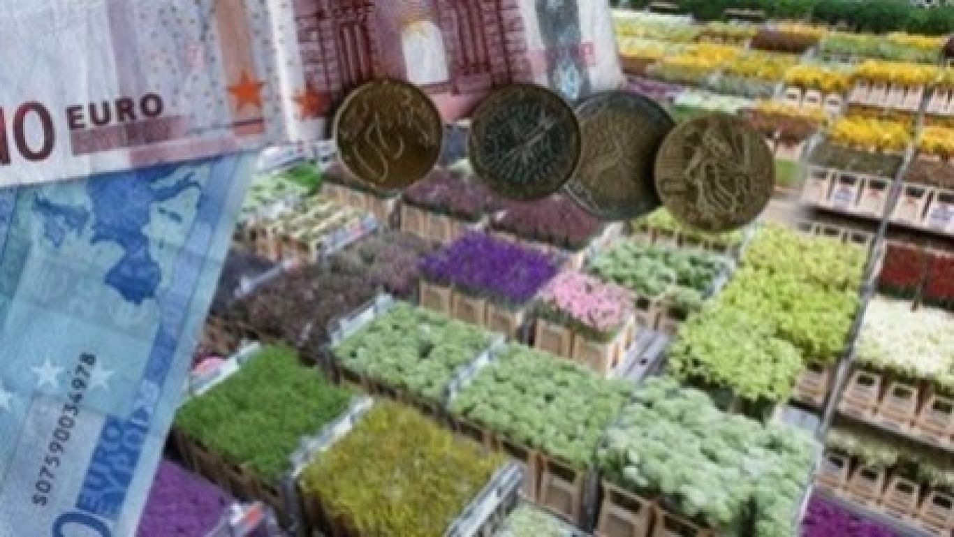 Royal floraholland jaaropgave