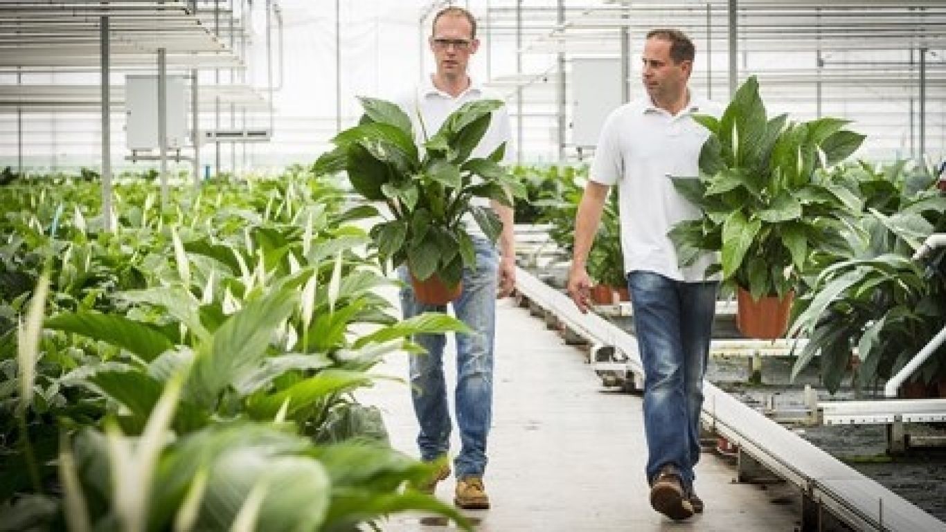 Royal floraholland lidmaatschap