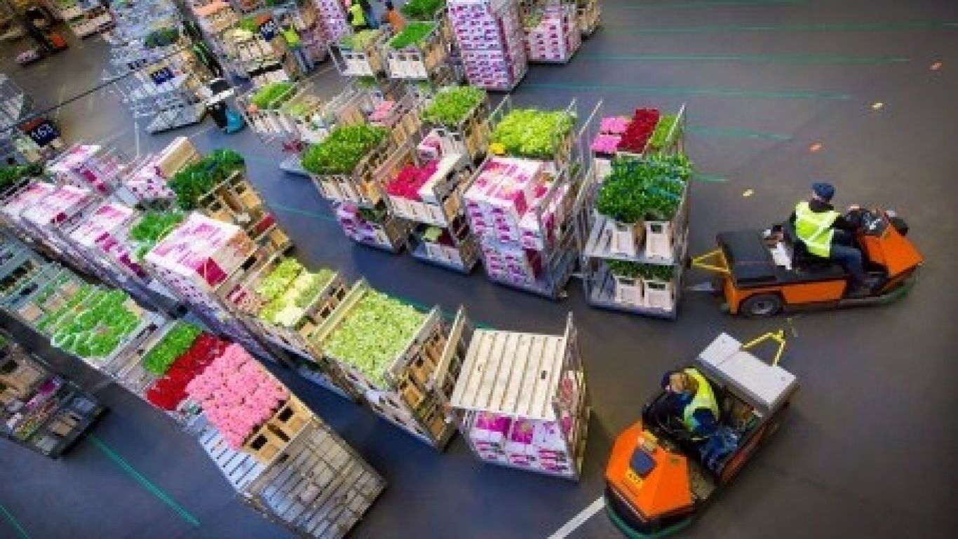 Royal floraholland marktplaats