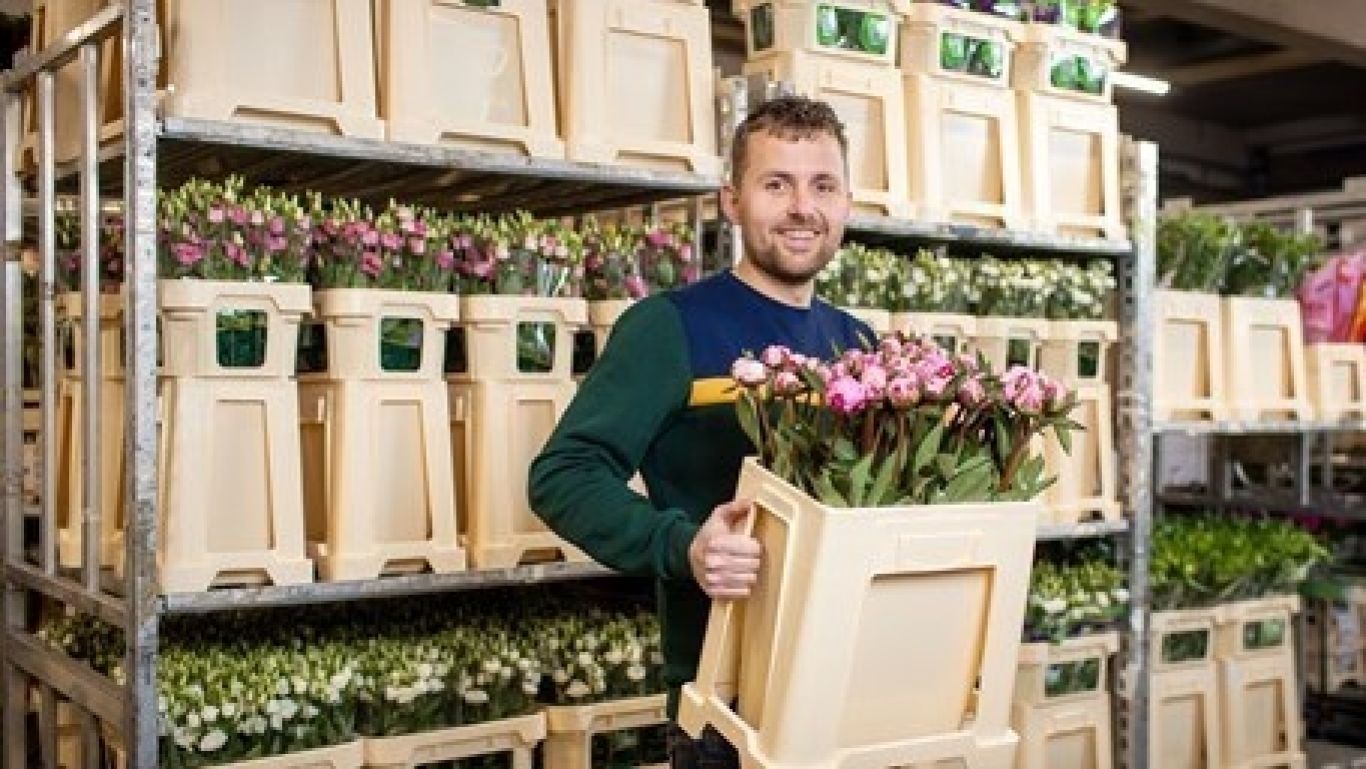 Royal floraholland nieuwe productgroepen 455x256