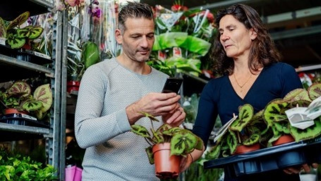 Royal floraholland ora