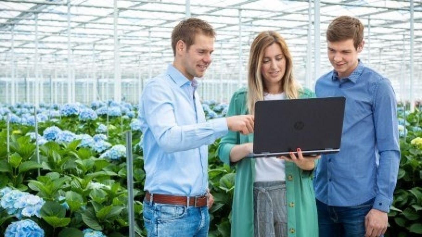 Royal floraholland afzetadvies rfh 01