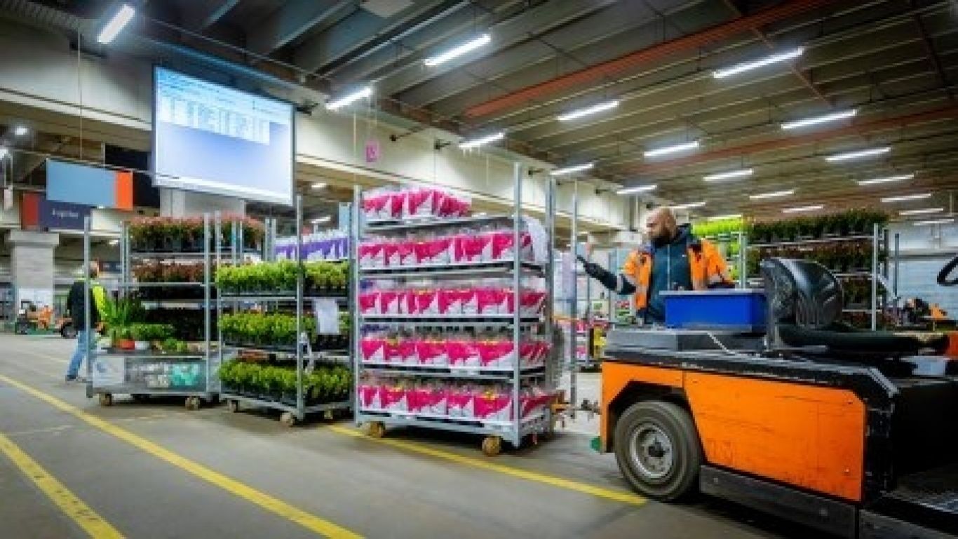 Royal floraholland cc containers 20201005 03