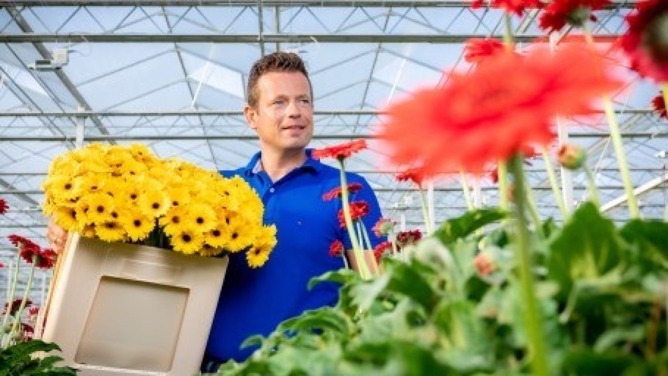 Royal floraholland fc588 marius mans 08