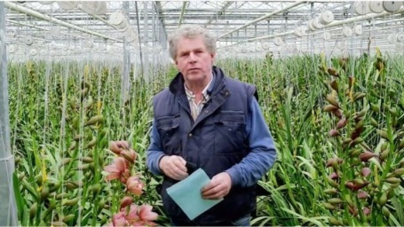 Royal floraholland martien vd weijden