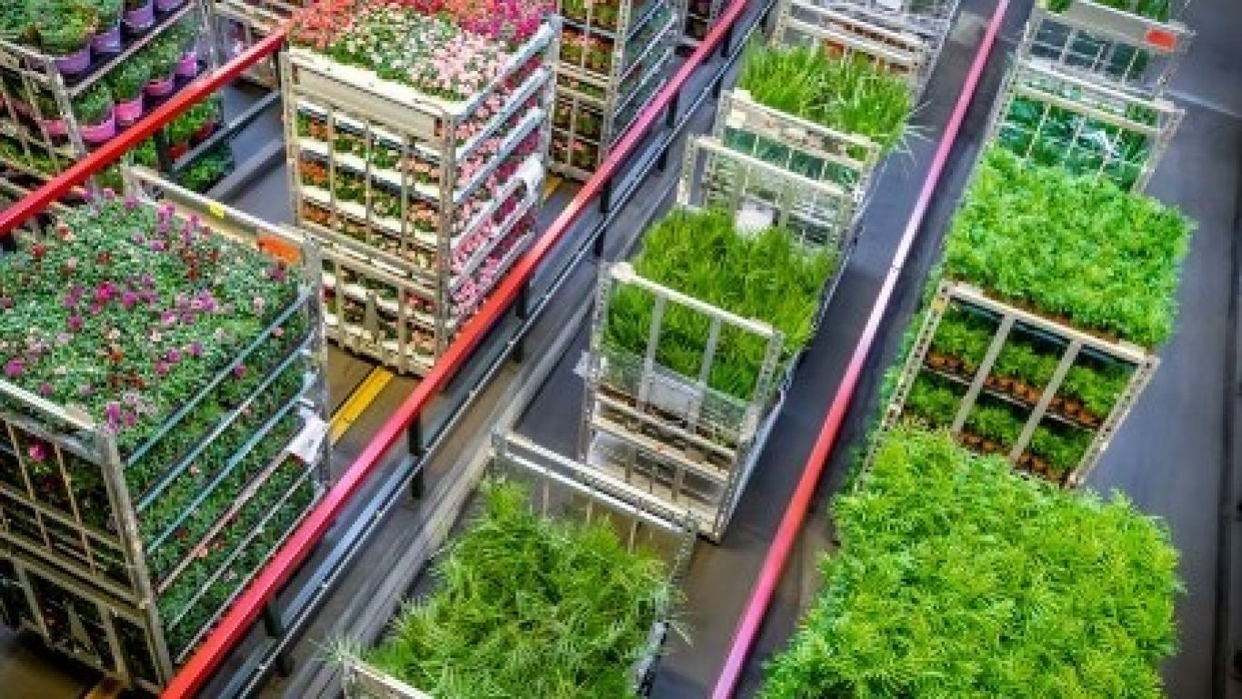 Royal floraholland naaldwijk 20180508 26