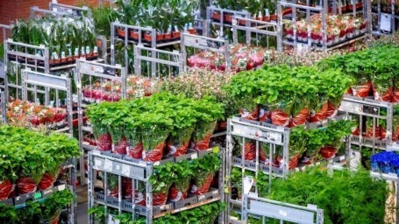 Royal floraholland plantenpaspoort med
