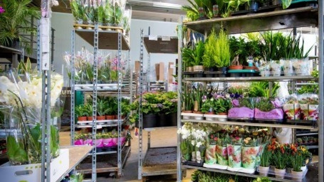 Royal floraholland cc pool