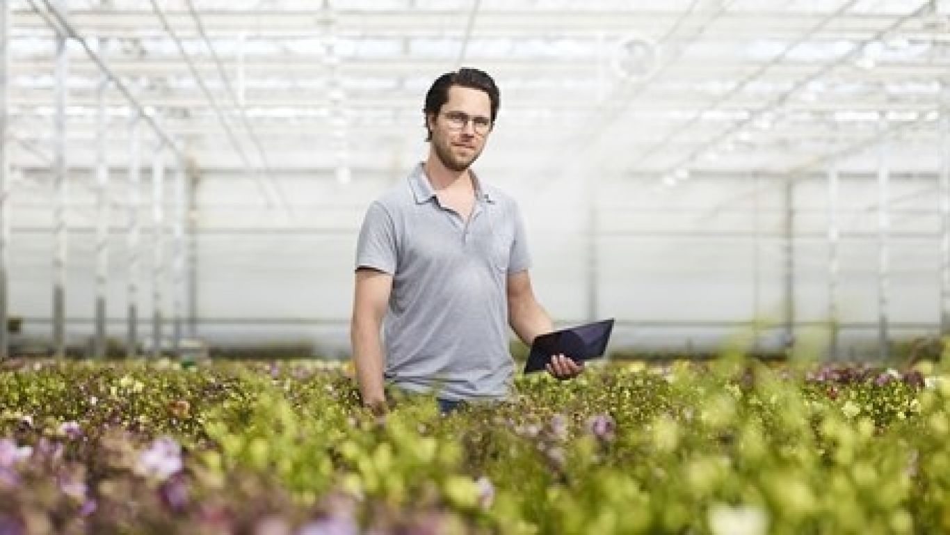Royal floraholland 100 digitaal 455x256