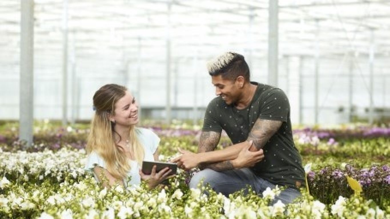 Royal floraholland 100digitaal