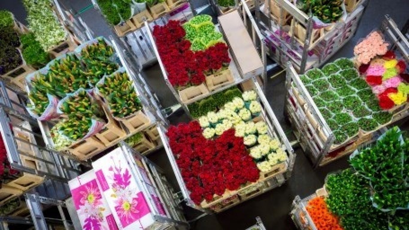 Royal floraholland 20160418 66 1