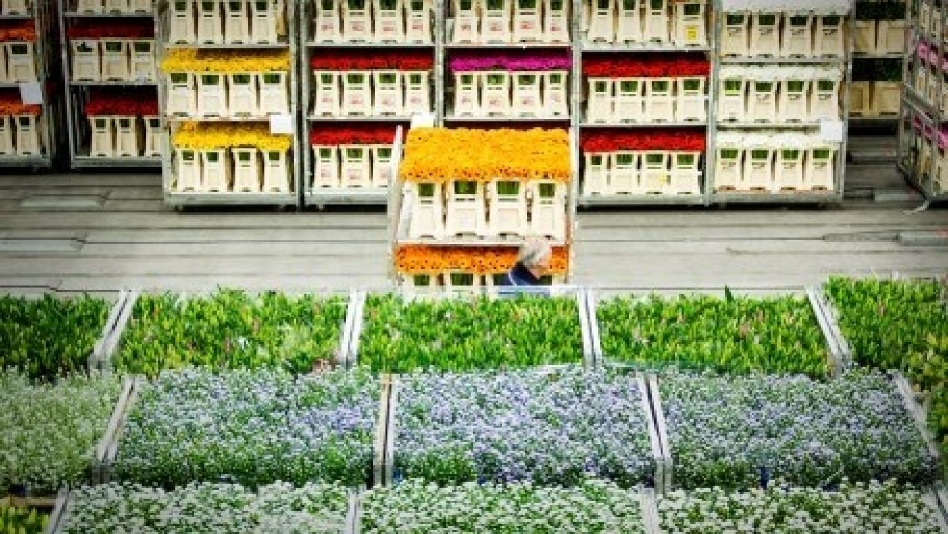 Royal floraholland 20160510 03