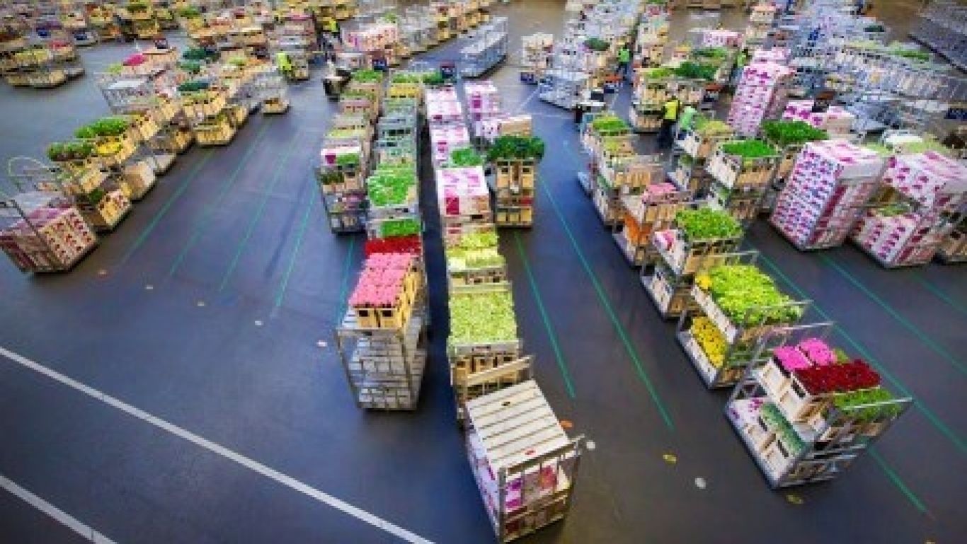 Royal floraholland enquetes uw bijdrage telt