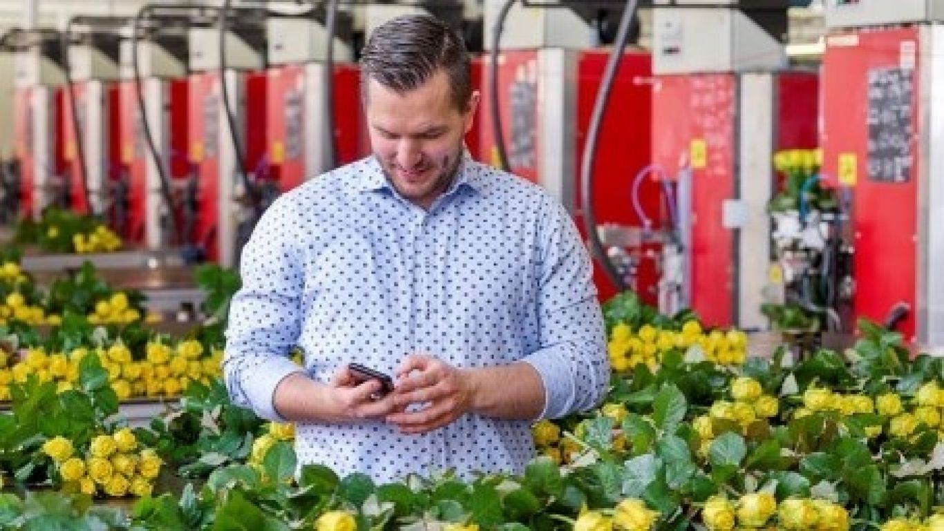 Royal floraholland insights marktbeeld 1