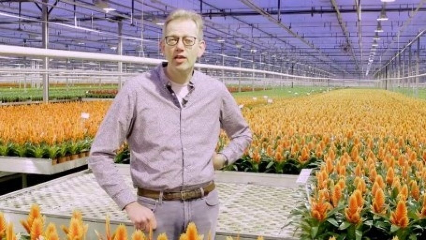 Wimkoolhaas