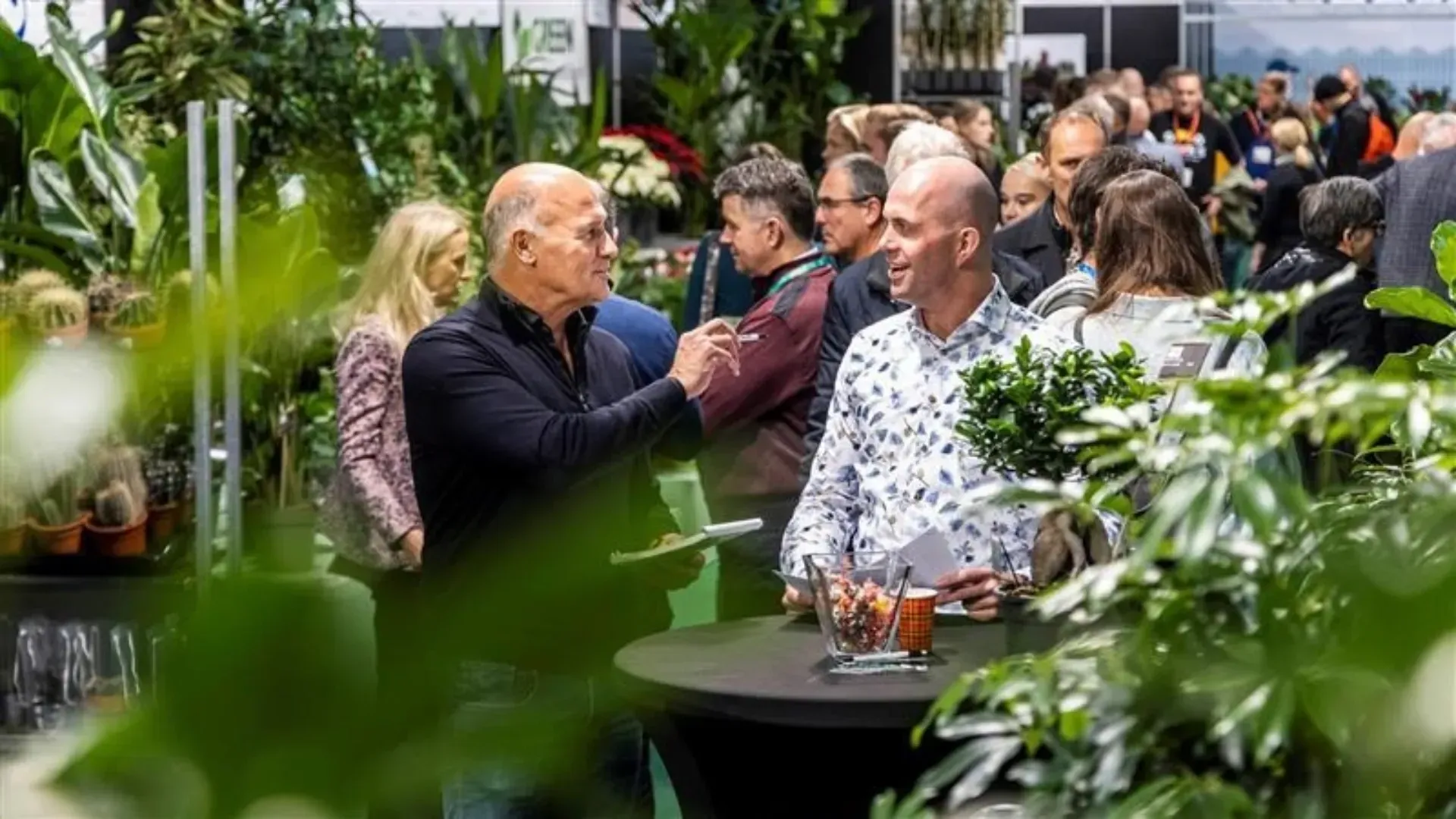 Trade Fair Rijswijk Trade Fair Rijswijk