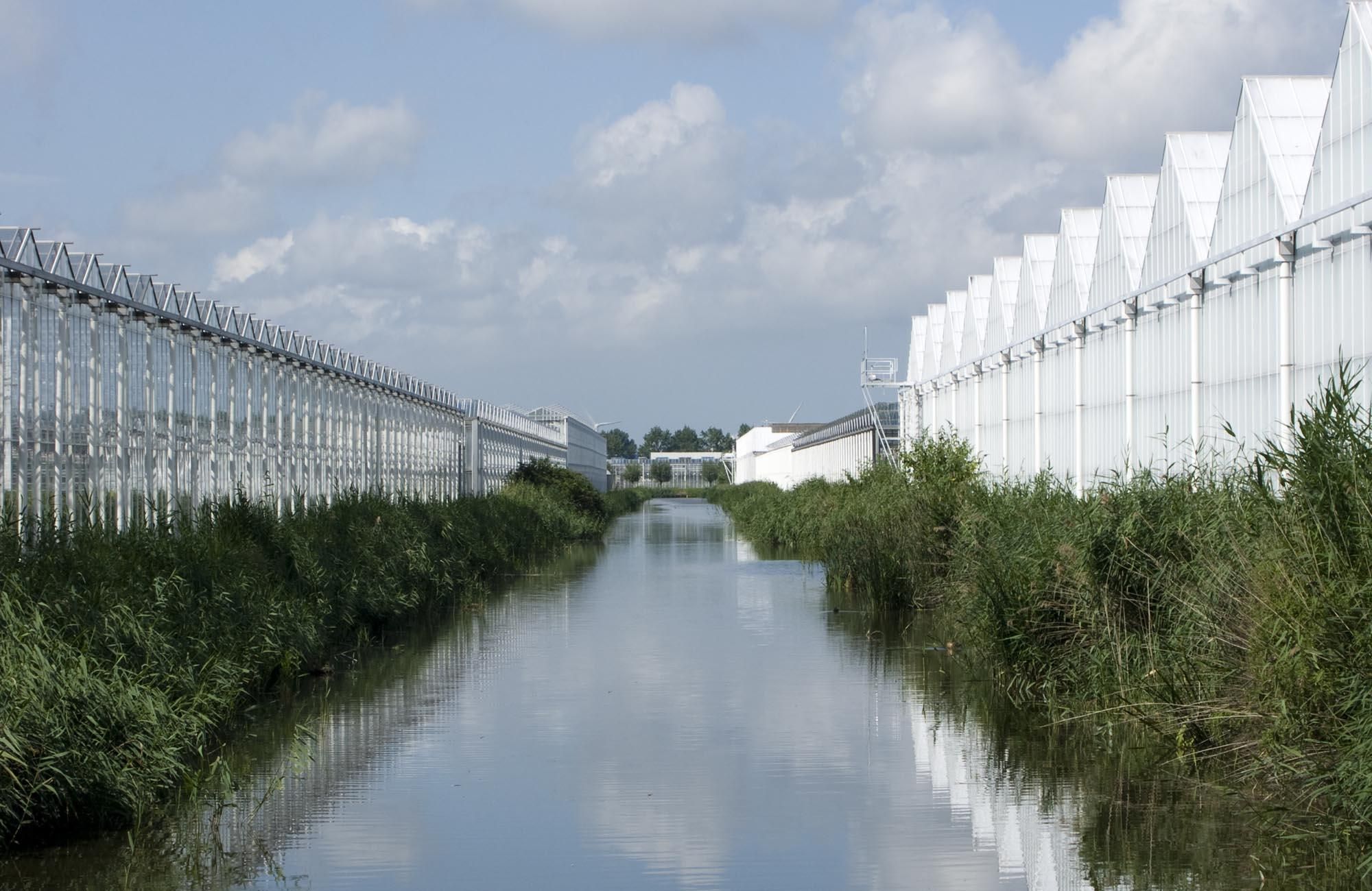 Glastuinbouw Zuivering