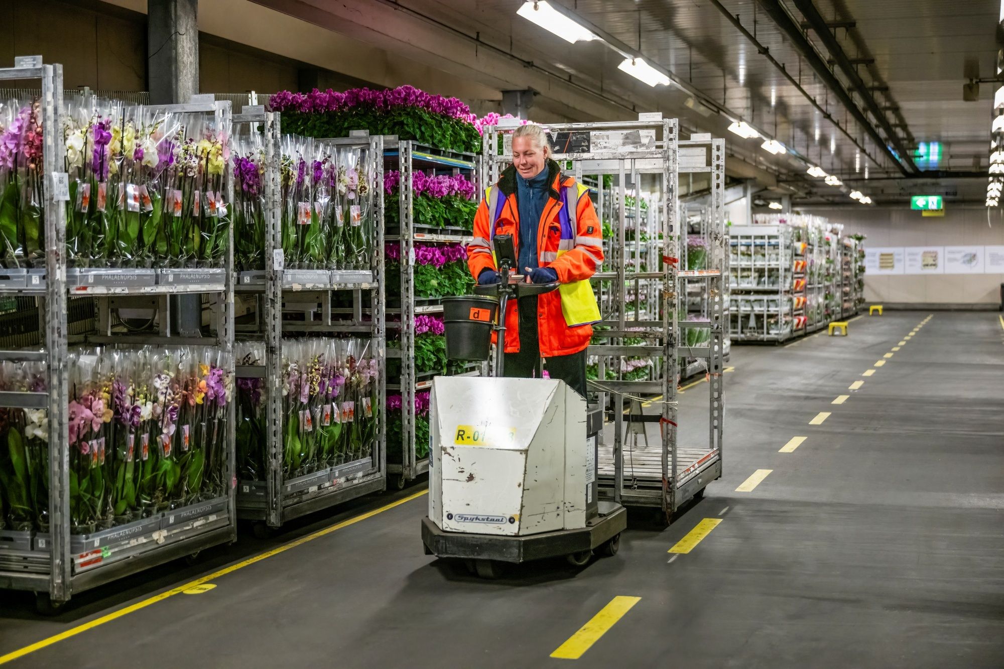 Logistiek medewerker orderpicken 2