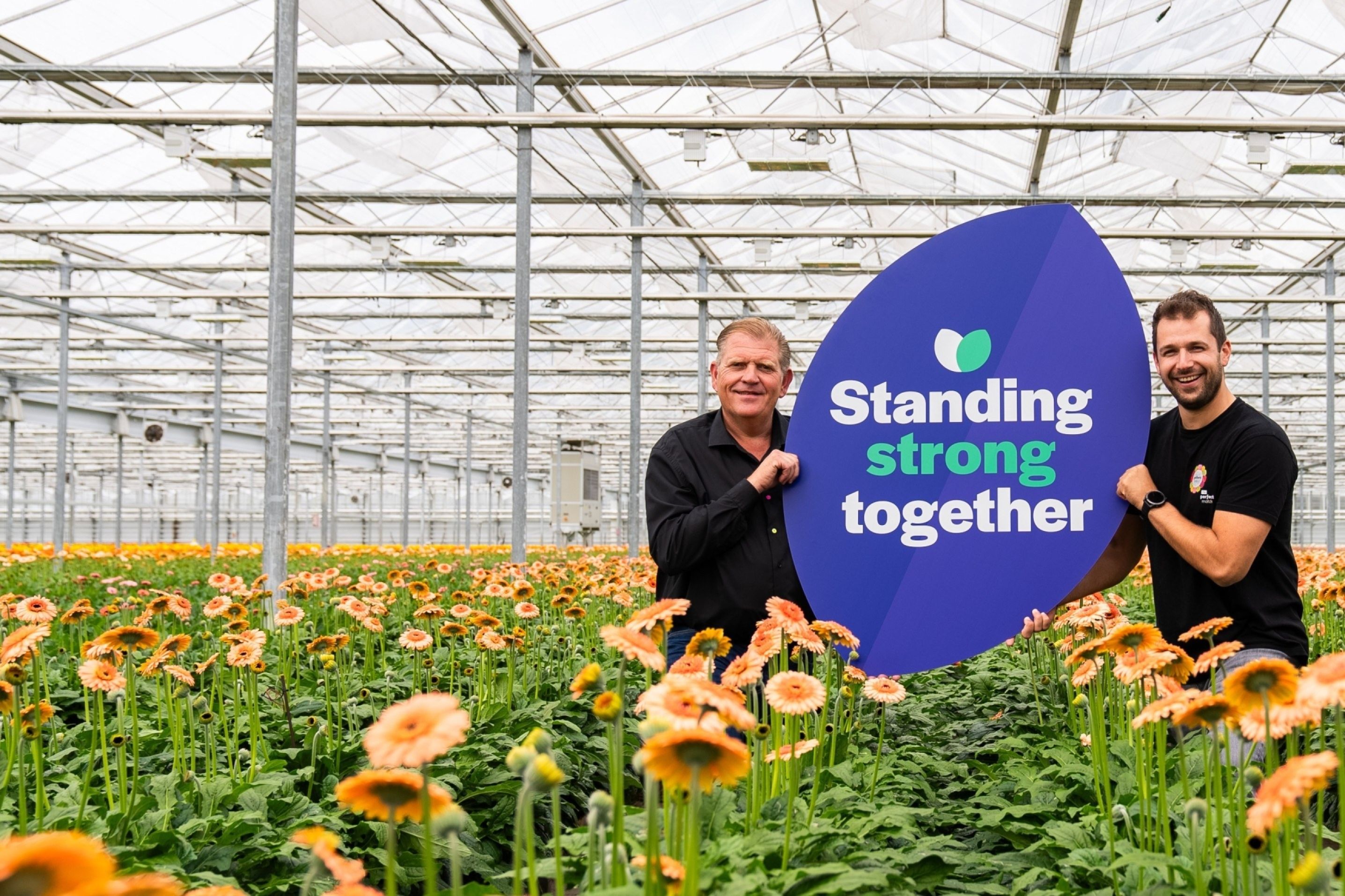 Standingstrong right