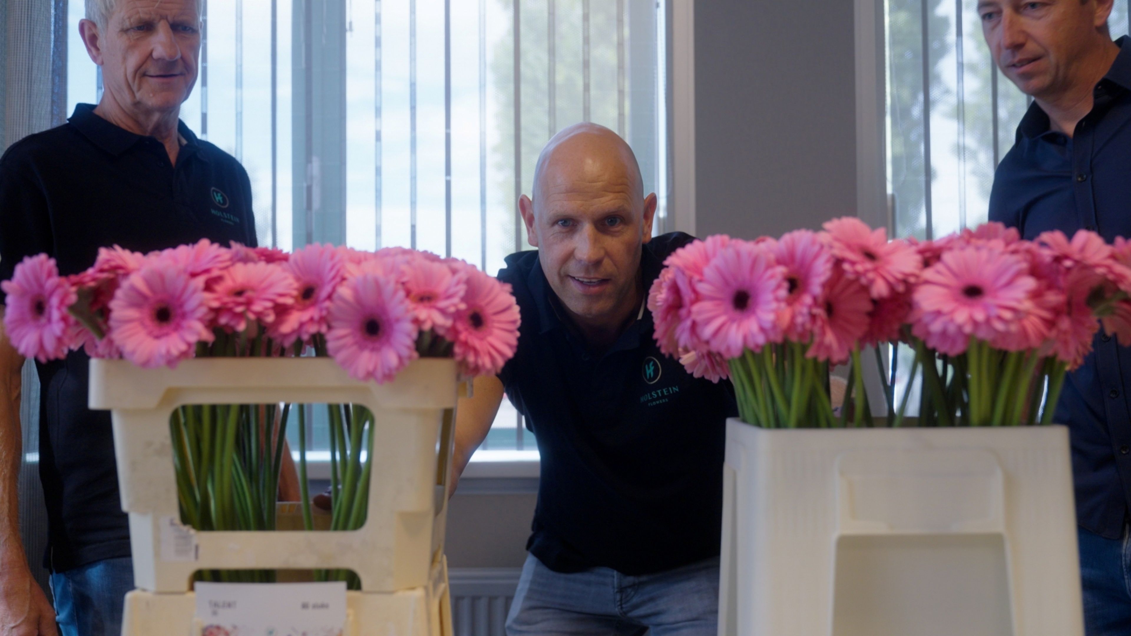 RFH SMJ Holstein Flowers Edit V4 1 00 00 26 16 Still002