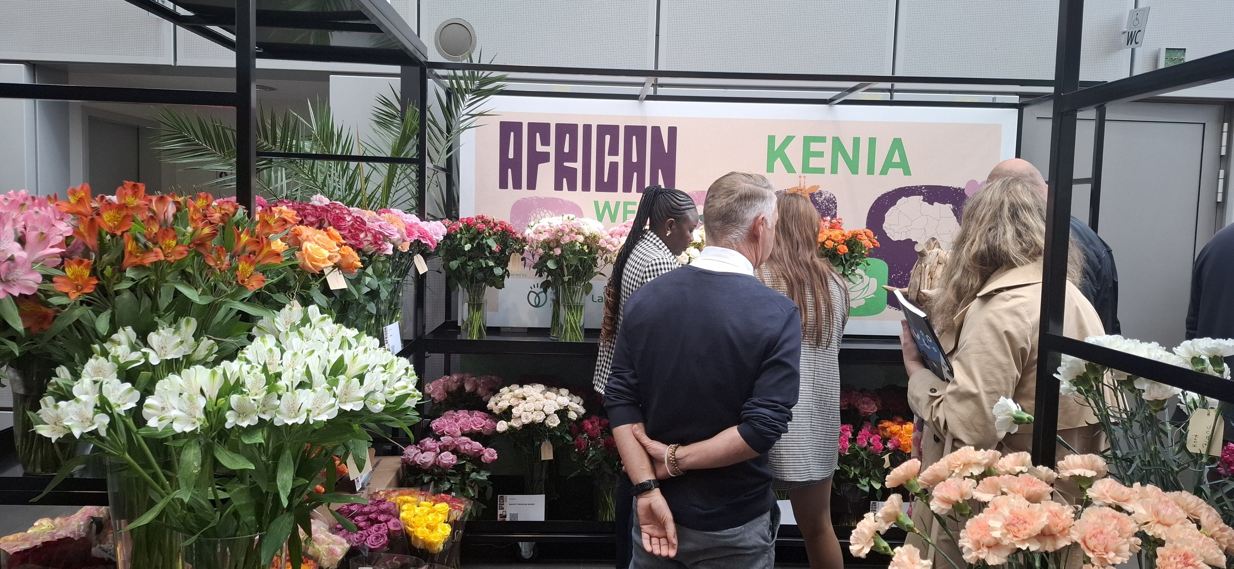 African Week 9