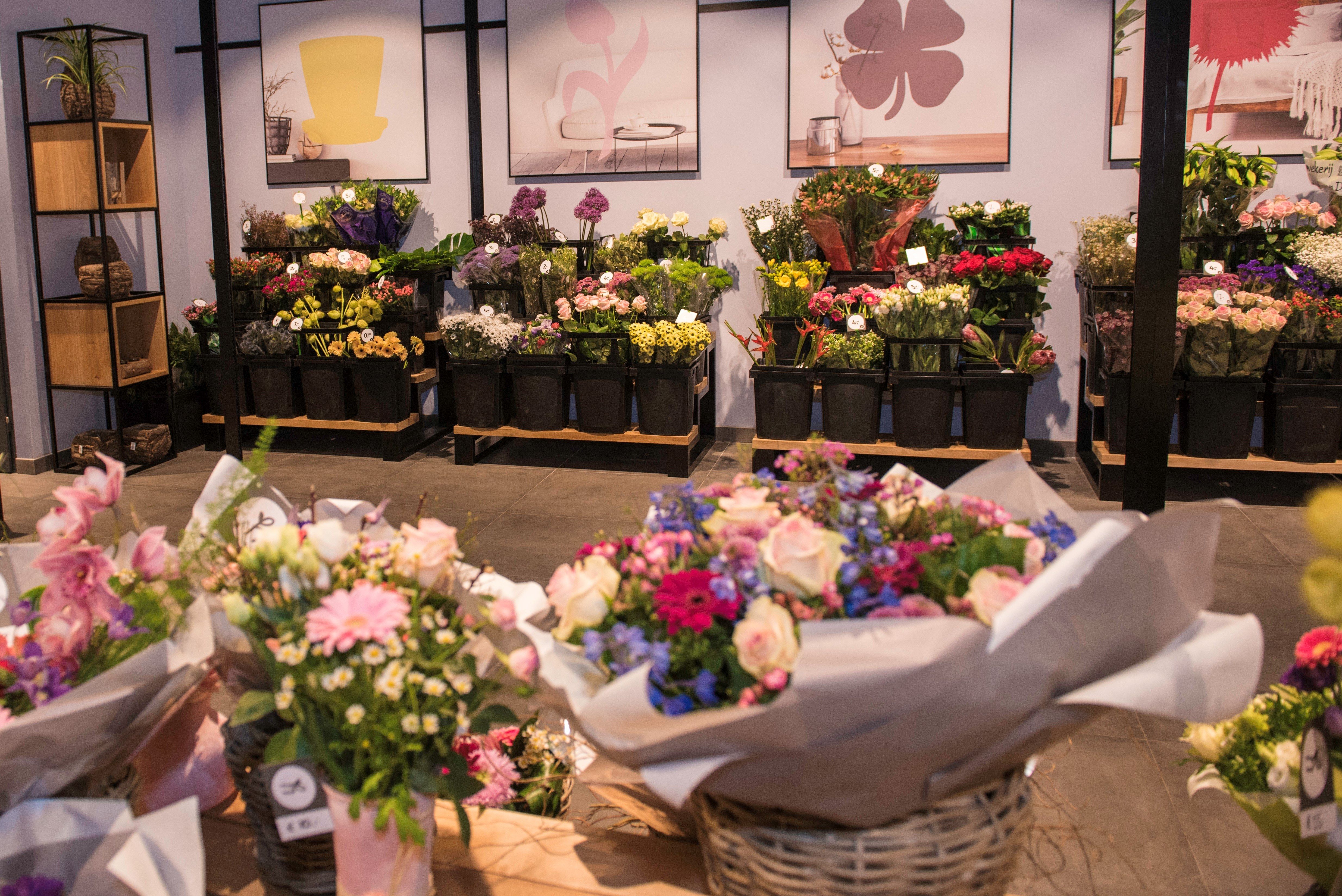 Foto winkelpresentatie artikel tactics