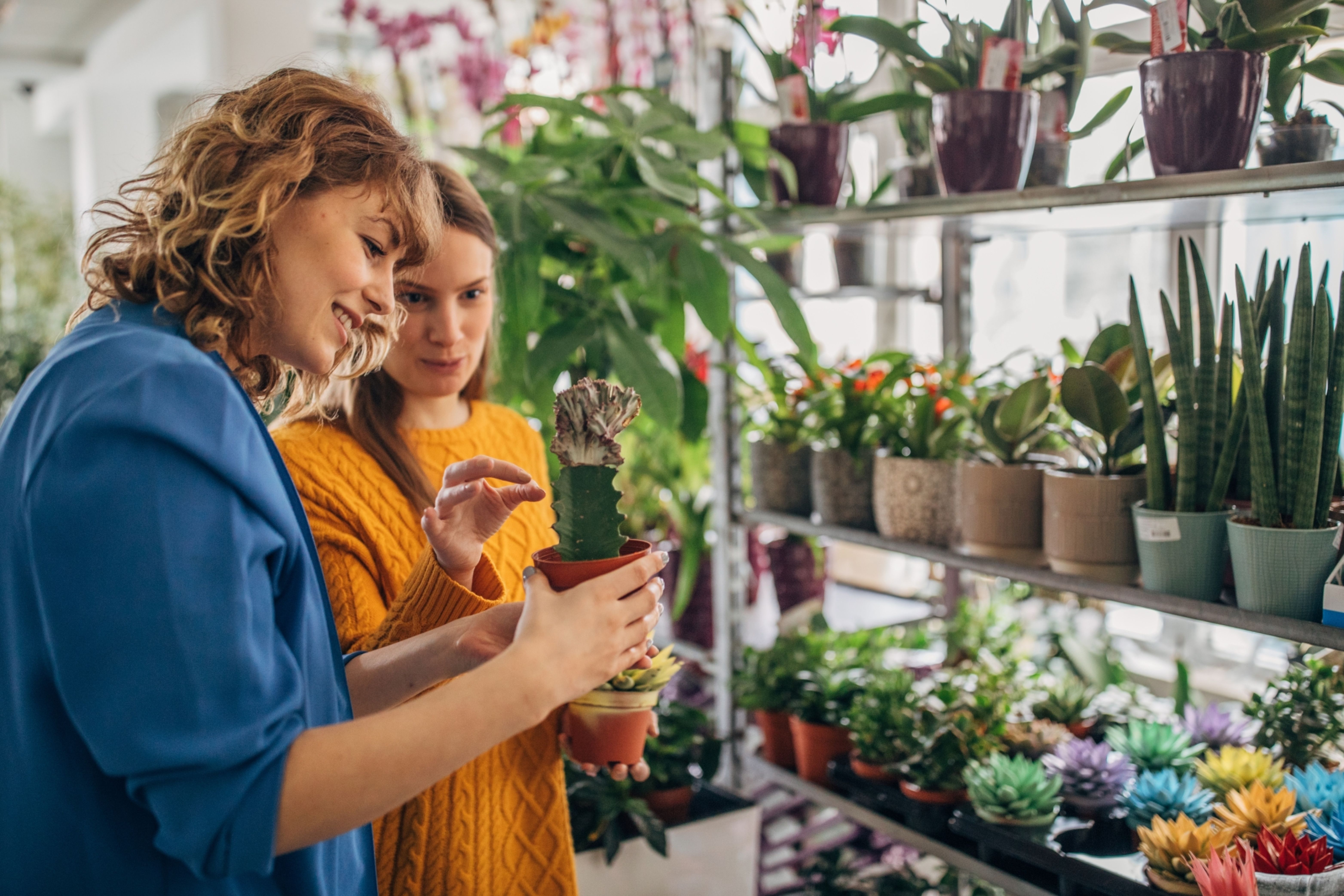 Royal Flora Holland Storecheck